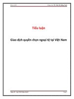 Tiểu luận: Giao dịch quyền chọn ngoại tệ tại Việt Nam