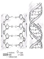 signature in the cell  dna and the evidence for intelligent design