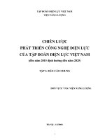 Chiến lược phát triển công nghệ điện lực của tập đoàn điện lực Việt Nam