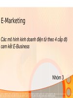 Thuyết trình: Các mô hình kinh doanh điện tử theo 4 cấp độ cam kết E Business