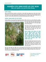 NGHIÊN cứu SINH KHỐI và các BON báo cáo nghiên cứu tại tỉnh kiên giang