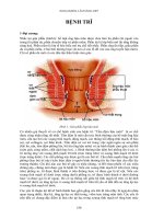 Tài liệu bệnh trĩ ngoại khoa lâm sàng