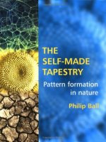 the self-made tapestry pattern formation in nature jan 1999
