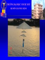 Bài giảng tổn thương tế bào và mô   ths  nguyễn văn mão