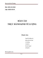 bài báo cáo thực hành kinh tế lượng