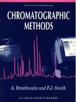 chromatographic methods 5th ed - a. braithwaite, f. smith (kluwer, 1996) ww
