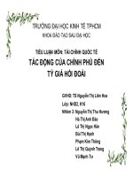 Tiểu luận tài chính quốc tế: Tác động của chính phủ đến tỷ giá hối đoái