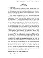 skkn một số giải pháp nâng cao chất lượng dạy và học văn biểu cảm