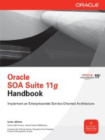 oracle soa suite 11g handbook [electronic resource]