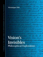 state university of new york press visions invisibles philosophical explorations aug 2003