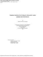 Three essays in public finance and labor economics