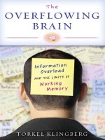 the overflowing brain information overload and the limits of working memory nov 2008