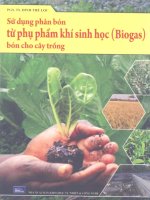 SỬ DỤNG PHÂN BÓN TỪ PHỤ PHẨM KHÍ SINH HỌC BÓN CHO CÂY TRỒNG