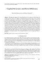Capital Structure and Firm Efficiency