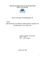 Khủng hoảng tài chính và khủng hoảng nợ quốc tế rủi ro tiềm ẩn của việt nam