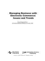 managing business with electronic commerce