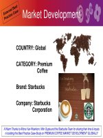 Starbuck - Marketing development (English)