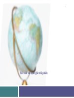 Định giá trái phiếu