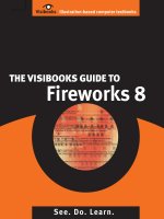 the visibooks guide to fireworks 8  2006