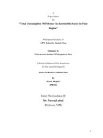Total polymer consumption in automobile sector in pune region appl industries pune  by mrinal khajuria marketing