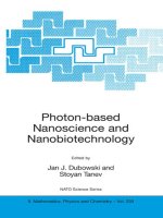 photon-based nanoscience and nanobiotechnology, 2006, p.373