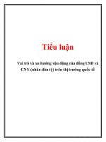 Tiểu luận: Vai trò và xu hướng vận động của đồng USD và CNY (nhân dân tệ) trên thị trường quốc tế