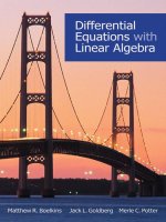 differential equations with linear algebra nov 2009