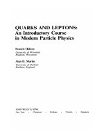 halzen & martin - quarks and leptons. introductory course in modern particle physics (wiley, 1984
