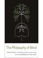 the philosophy of mind