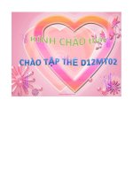 tiểu luận cacbon monooxit trong không khí và khí thải