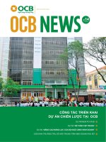 CÔNG tác TRIỂN KHAI dự án CHIẾN lược tại  OCB