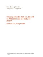 Chương trình tái định cư, sinh kế và phát triển dân tộc thiểu số (RLDP)