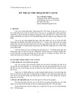 KỸ THUẬT THU HOẠCH mủ CAO SU