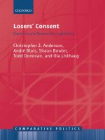 losers consent elections and democratic legitimacy apr 2005