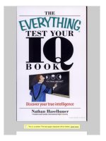 The everything test your IQ