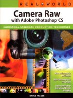 real world camera raw with adobe photoshop cs