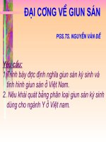 Slide bài giảng đại cương về giun sán