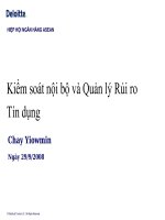 Bài giảng Quản lý rủi ro tín dụng: Chương 1  Hiệp hội ngân hàng ASEAN