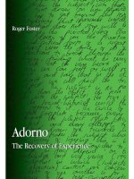 state university of new york press adorno the recovery of experience oct 2007