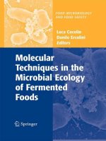 molecular techniques in the microbial ecology of fermented foods 2008 - cocolin & ercolini