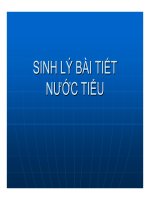Bài giảng sinh lý bài tiết nước tiểu