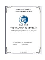 Ứng dụng robot trong mô phỏng bay