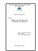 Tiểu luận tài chính công: Nghiên cứu chi tiêu công của quốc gia Lafrasia