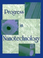 progress in nanotechnology, 2002, p.308