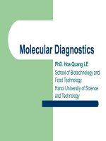 Molecular Diagnostics  (Phân tích nhanh chất lượng thực phẩm)
