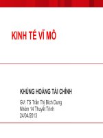 Thuyết trình kinh tế vĩ mô: Khủng hoảng tài chính