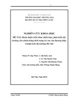 Hoàn thiện triển khai chiến lược phát triển thị trường cho nhóm hàng thời trang trẻ em của thương hiệu Canifa trên thị trường Hà Nội