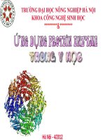 Bài giảng Ứng dụng Protein enzyme trong y học