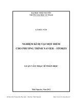 Nghiệm kì dị tại một điểm cho phương trình navier stokes