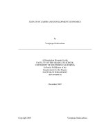 essays on labor and development economics